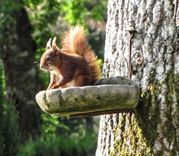 camping nature landes