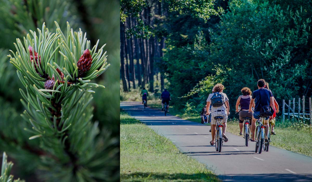 camping piste cyclable landes