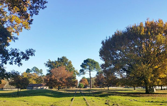 camping Ecomusée de Marquèze