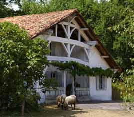 camping proche ecomusée de marqueze