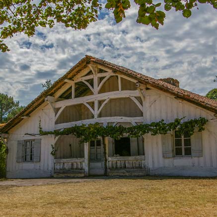 camping-quoi-faire-landes