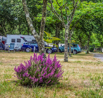 location-camping-car-camping-landes