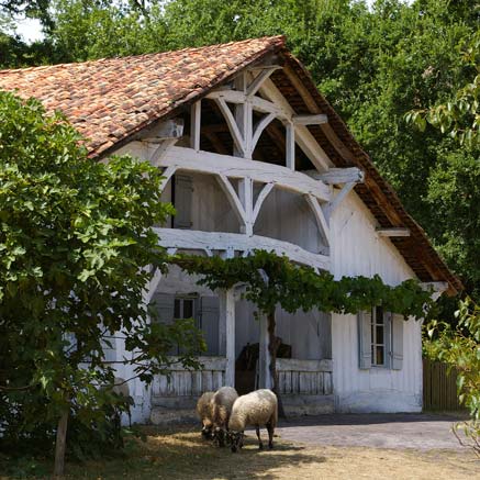 location camping proche ecomusée marqueze