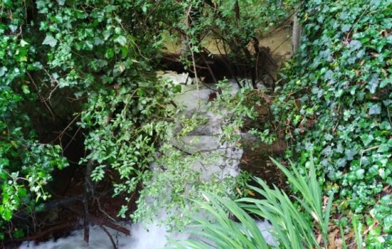 rivière lesperon Landes